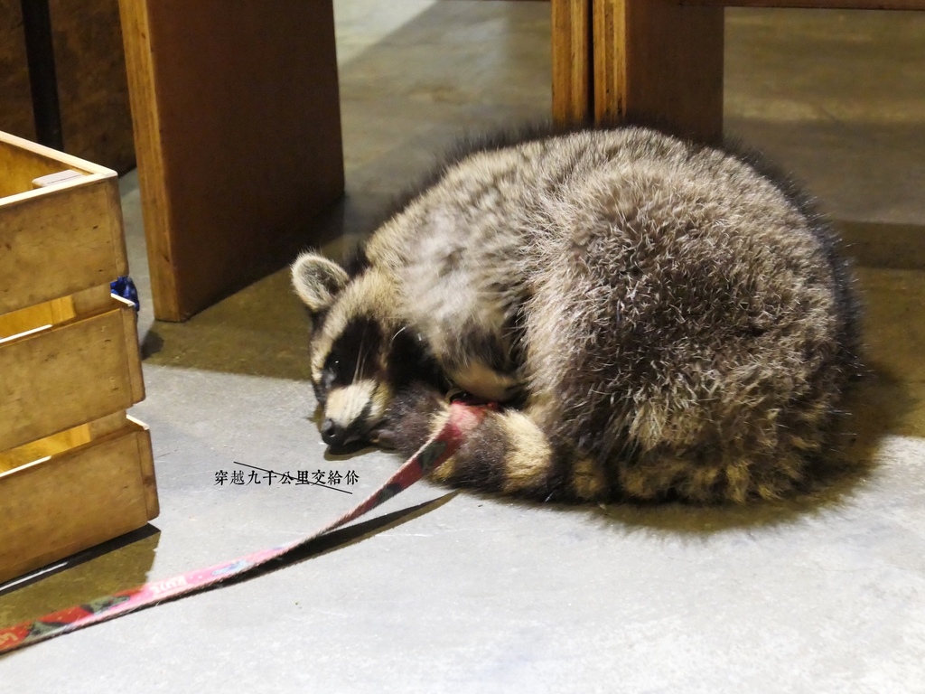 大台北早午餐/下午茶/咖啡廳懶人包（2024/5/10更新，