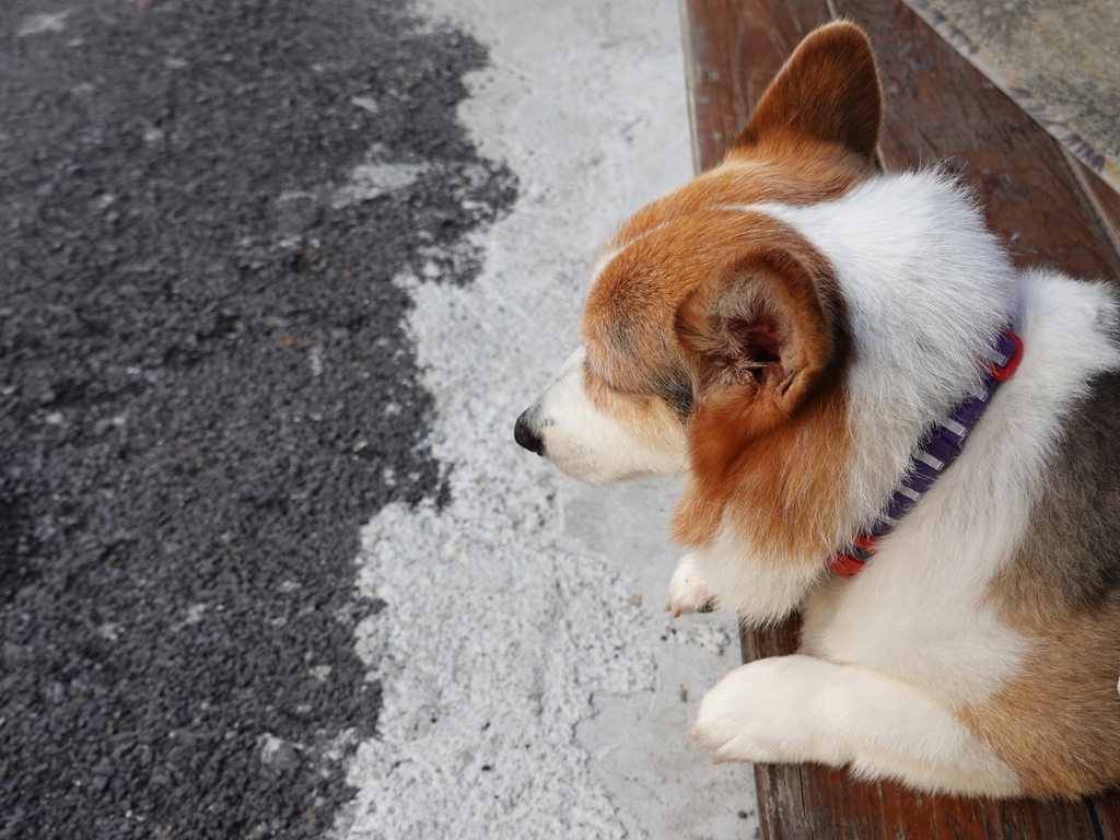 A12E94C2-247D-4790-AA94-53F7481E0063.jpeg A12E94C2-247D-4790-AA94-53F7481E0063.jpeg