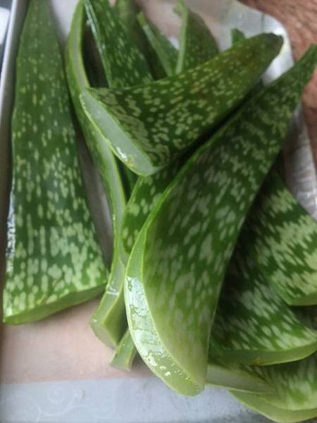 IMG_7327.JPG IMG_7327.JPG