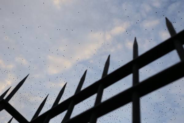 46521508_10217268315515724_7419089458722504704_o.jpg 46521508_10217268315515724_7419089458722504704_o.jpg