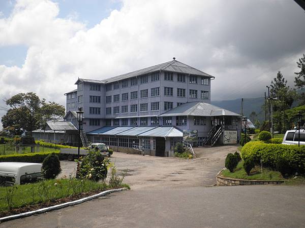 Blue Field Tea Factory