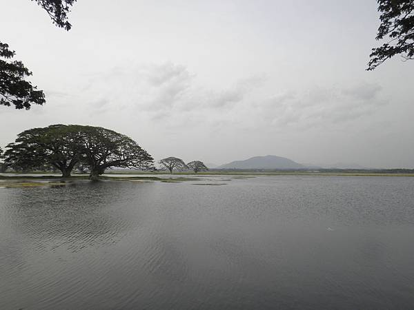 Tissa Lake