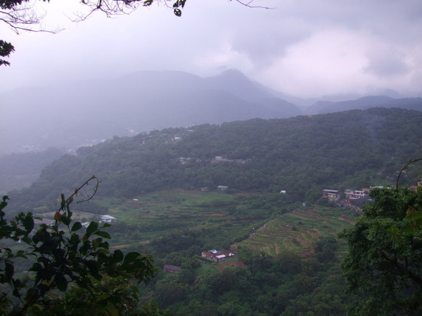 愜意地看看風景