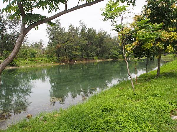 公園裡好像有好幾個湖