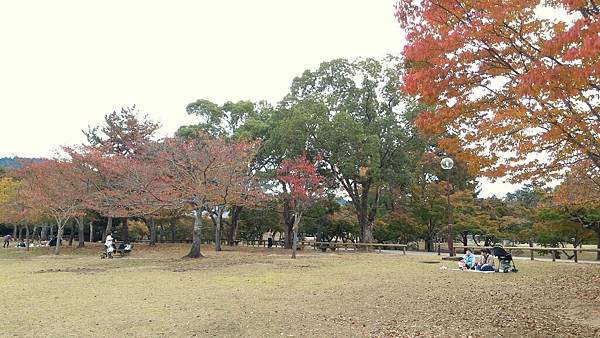 居然有人願意在這野餐