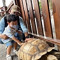 一直想跟動物接觸的孩子