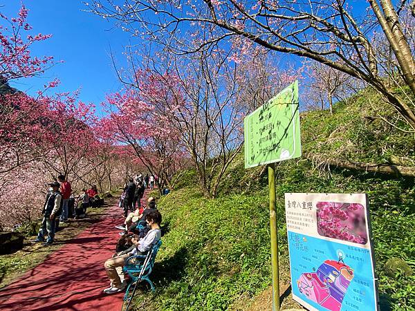 椅子不多 幾乎都是老人家在休息