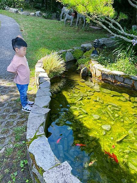 吃飽賞賞魚