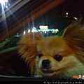 Bobo in the Car