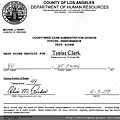 Typist Clerk Certificate