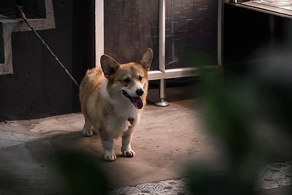 20211115-cuppafs-9.jpg 20211115-cuppafs-9.jpg