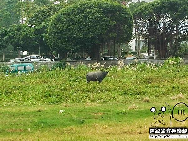 20151216_121424-2 20151216_121424-2