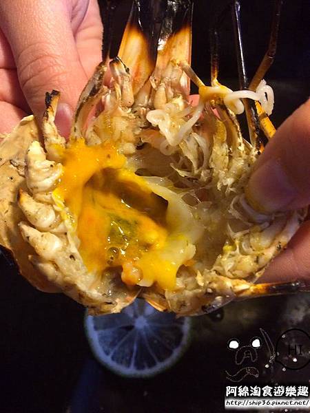 【台北燒烤】【北捷景安站】燒惑日式炭火燒肉店-新鮮海鮮令人驚豔.安格斯牛/海鮮/燒烤/吃到飽/中和區 【台北燒烤】【北捷景安站】燒惑日式炭火燒肉店-新鮮海鮮令人驚豔.安格斯牛/海鮮/燒烤/吃到飽/中和區