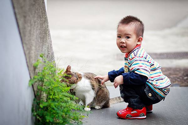 柏凱縮圖--0110.jpg