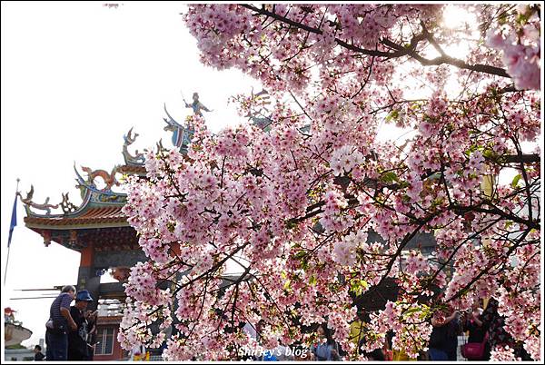 a02.jpg a02.jpg