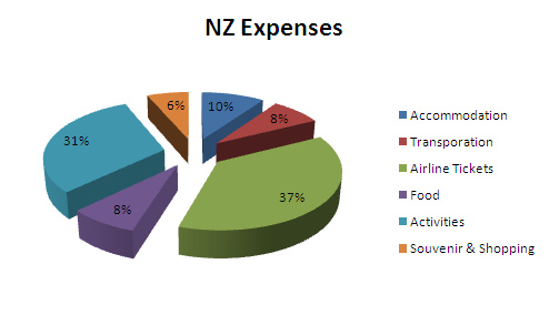 NZ Expenses Diagram