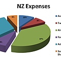 NZ Expenses Diagram