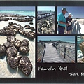 Hamelin Pool_ Shark Bay World Heritage Site, Western Australia