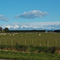 Way to Tekapo