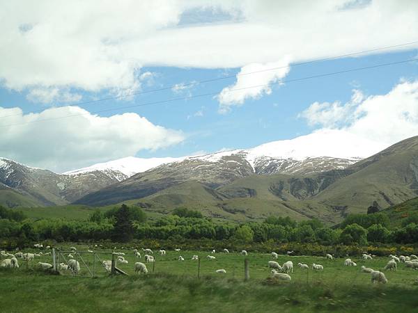 way to Tekapo