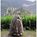 宜蘭2-49.jpg