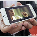 毫芒22.jpg