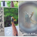 毫芒30.jpg