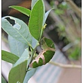 毫芒59.jpg