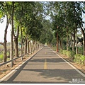 台中3-37.jpg