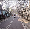 台中3-46.jpg