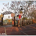 台中3-62.jpg