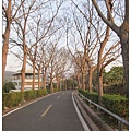 台中3-63.jpg
