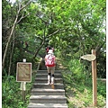 和美山13.jpg