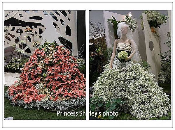 花1-14.jpg