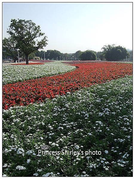 花1-37.jpg