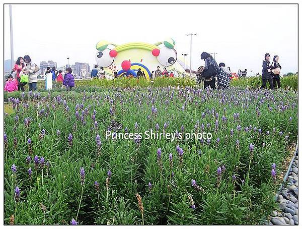 花1-25.jpg