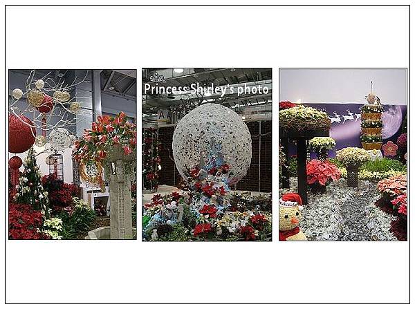 花1-12.jpg