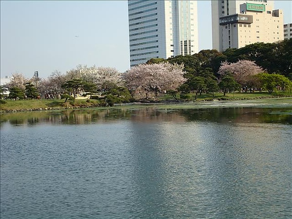 2008 Tokyo 219