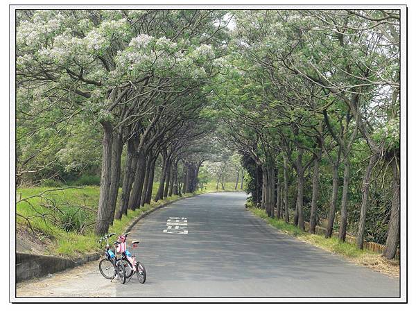 苦楝隧道