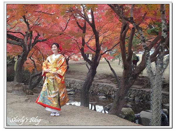 真美.jpg 真美.jpg