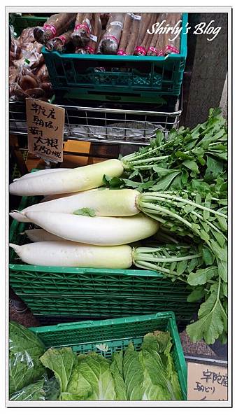 大根.jpg 大根.jpg