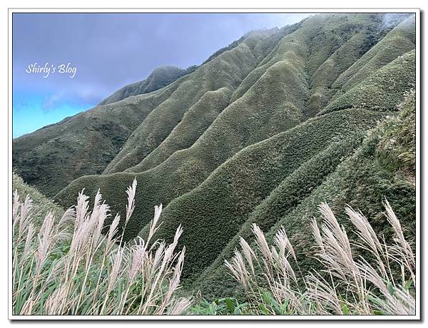 秋天的抹茶山.jpg