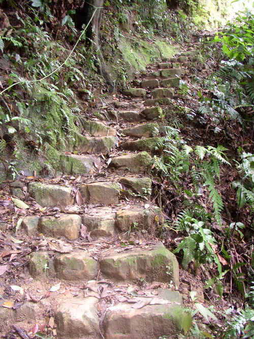 北天宮登山小徑.jpg