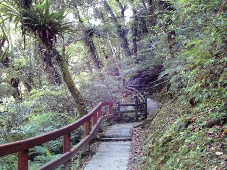 登山步道.JPG