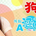 張韶涵 logo