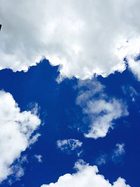 心輪書寫-讓愛流動工作坊