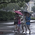 雨中遊（六福村）.jpg