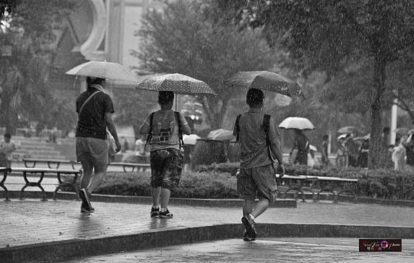 雨中遊園-（六福村）.jpg