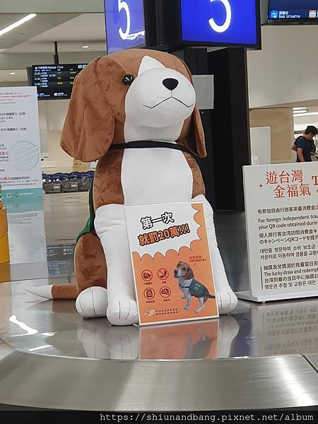 工作犬.jpg