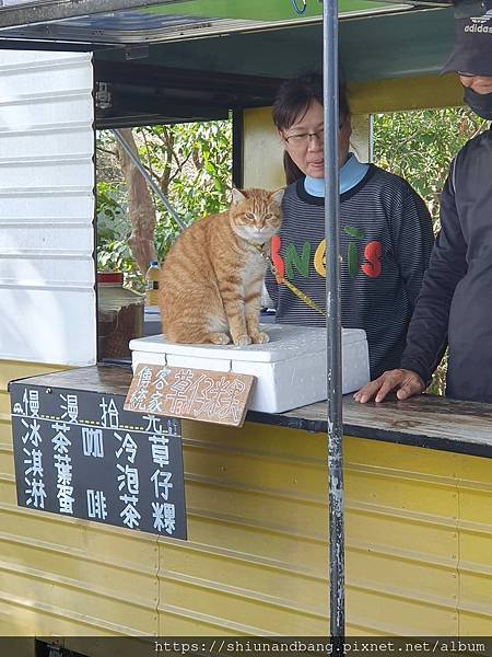 S&B小勛&邦邦~2024過年(邦)家族旅行:花東3日遊~第